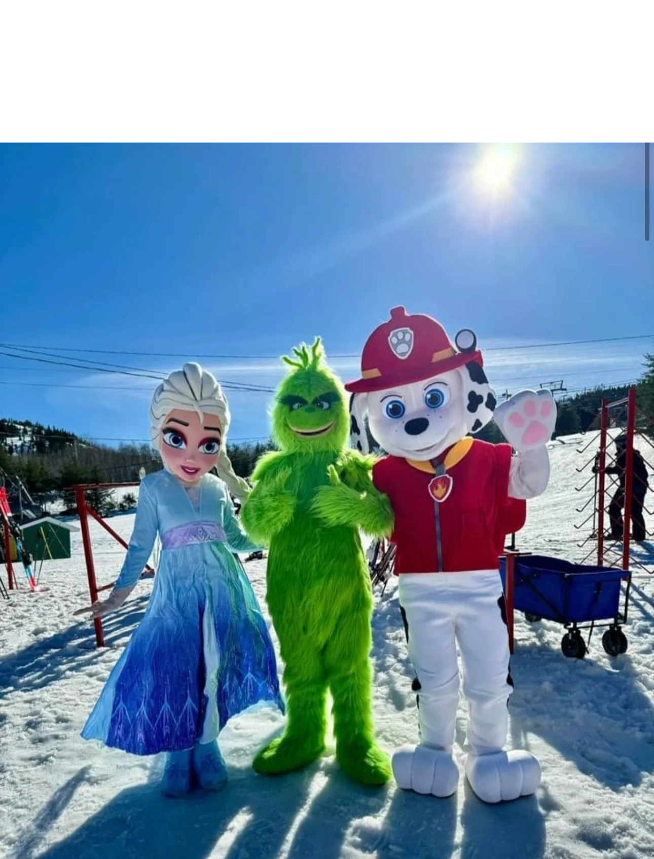 Mascottes & Cie en action lors d'un événement